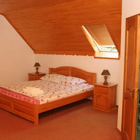 Hotel Zatyshok *