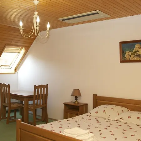 Hotel Zatyshok *